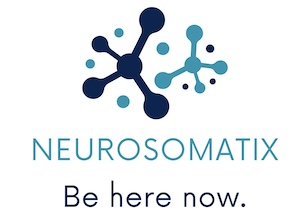 Neurosomatix